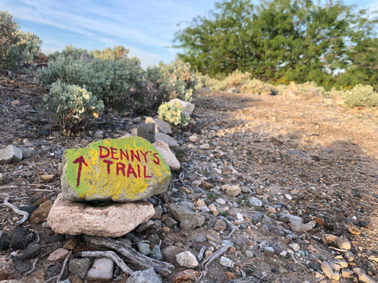 Denny Sullivan FOY Trail Running Fun