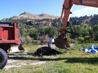 dead horse disposal ranch workamping