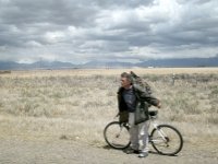 Potential roadkill along HWY 285 in Colorado