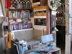 Lizard Tree Library Slab City