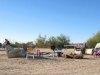 Slab City Library Poetry Circle