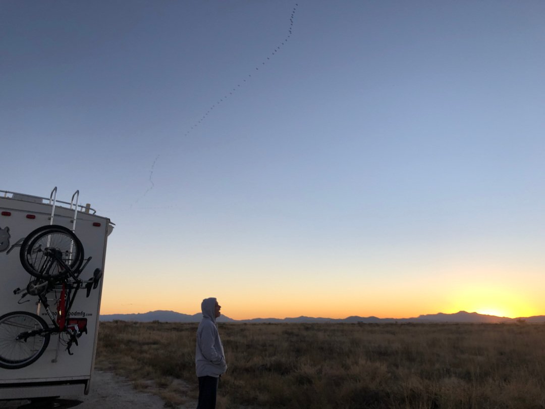 Arizona boondocking birding bliss