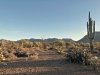 Tucson Mountain Park