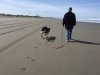 Humboldt County beaches
