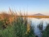 Horr Pond Near Mount Shasta