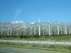 Wind Farm near palm Springs, CA