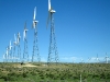 Wind Farm near palm Springs, CA