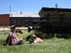 Checking Out the Ghost Town of Bodie, CA