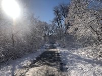 Snow on Poudre River Trail Laporte Colorado