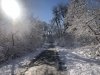 Snow on Poudre River Trail Laporte Colorado