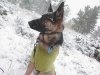 Wyatt in the Snow