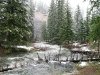 Williams Creek National Forest campground