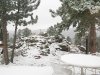 October Snow Day