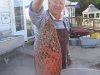 Bar Harbor Maine lobster