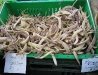 Troy New York Farmer\'s Market