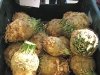 Troy New York Farmer\'s Market
