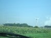 Ohio corn field
