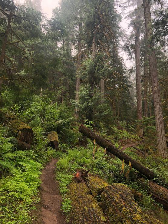 Westfir Oregon trail running
