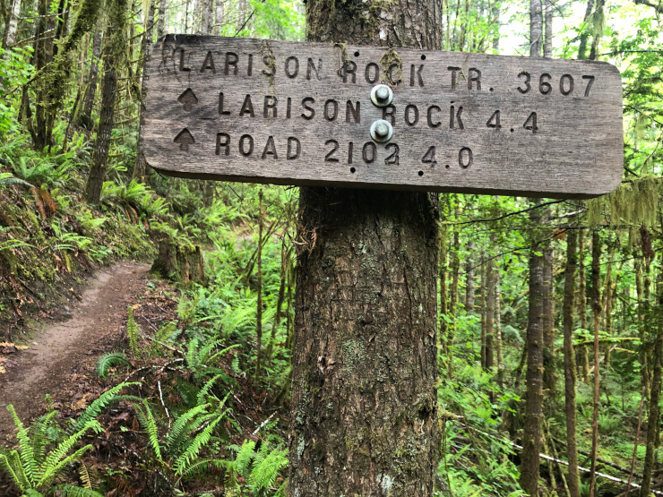 Westfir Oregon trail running