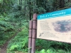 Westfir Cascades Scenic byway