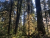 Westfir Oregon trail