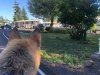 NellieSKPdog