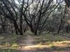 Kerrville Texas Campground