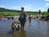 The Mississippi Headwaters at Lake Itasca, WI