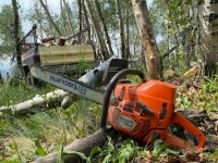 Vickers Ranch Cutting Wood