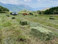 Vickers Ranch Hay