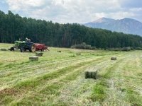 baling hay