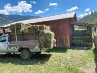 Stacking Hay