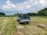 Vickers Ranch Hay