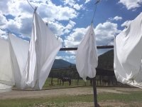 Vickers Ranch Workamping Is A Sheety Job