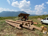 Vickers Ranch Logging