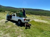 2021 Vickers Hay Season