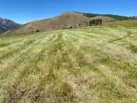 2021 Vickers Hay Season