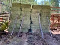 2021 Vickers Hay Season