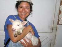 The joys of workamping on a farm