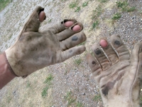 Work gloves destroyed in weeks by workamping at ranch