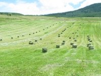 Workamping at Vickers Ranch means haying
