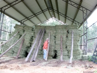 Jim stacks hay bales in the vickers hay Barn