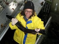Workamper for a day at the Oregon Hatchery Research Center