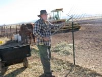 Al feeding horses workamping at New Arizona ranch