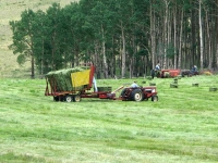 Jim helps stack hay at Vickers Ranch