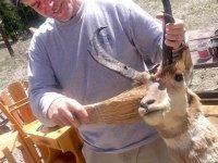 Vickers Ranch Lake City, CO Pronghorn Spring Cleaning