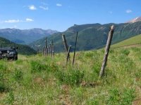 Vickers Ranch Workamping Mending Fences
