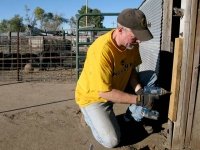 Workamping at Diggin Dust Heritage Hog Farm Cope CO