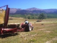 Vickers Ranch Workamping