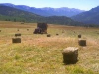 Vickers Ranch Workamping